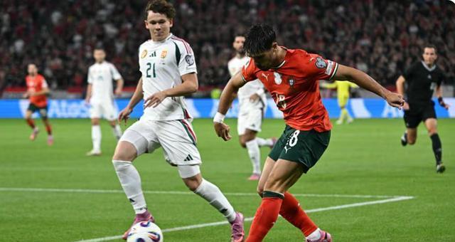 葡萄牙, 博洛 葡萄牙, 博洛