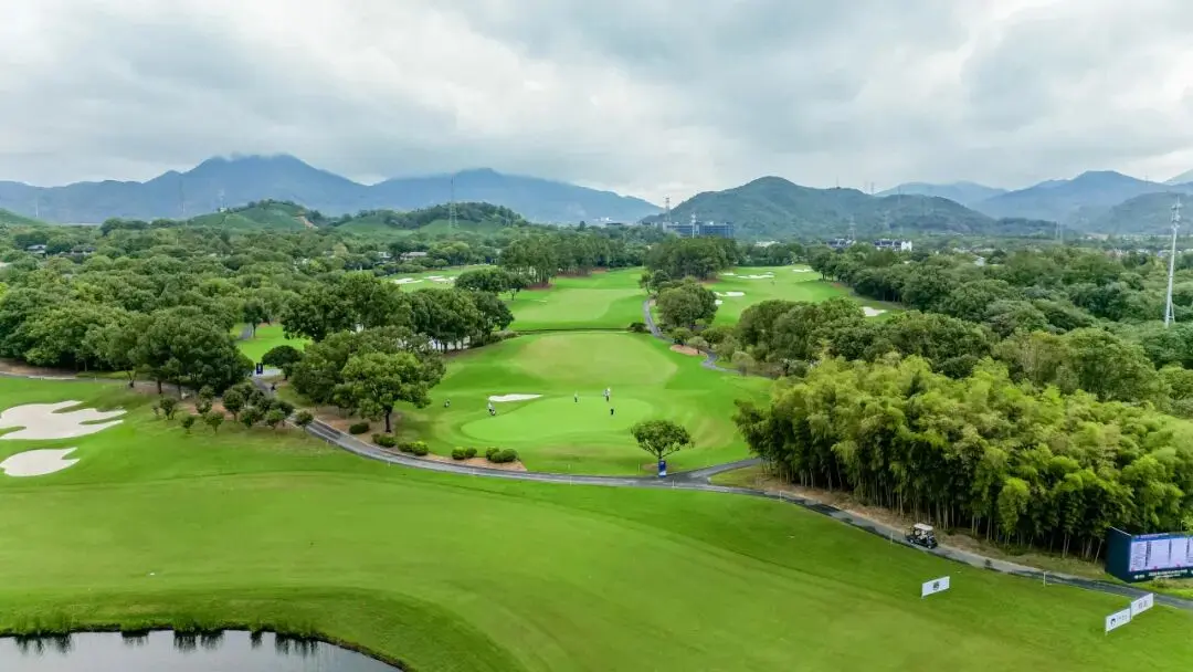 织的数十名 织的数十名