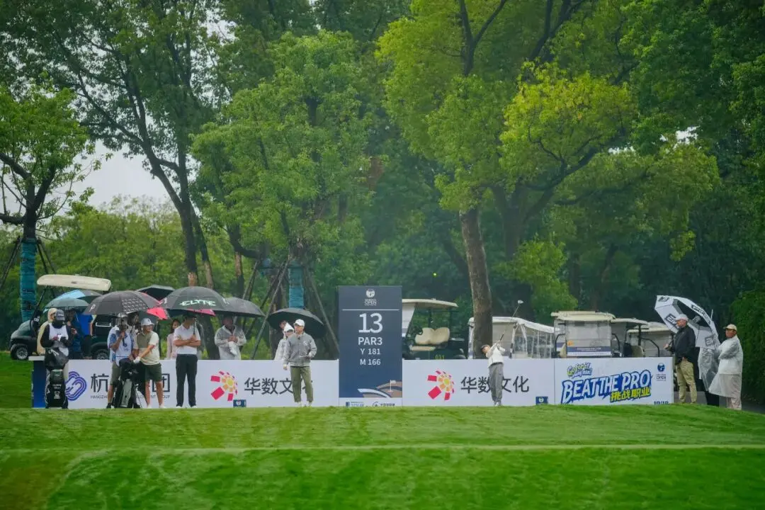 挑战赛与, 和职业球员, msn 挑战赛与, 和职业球员, msn